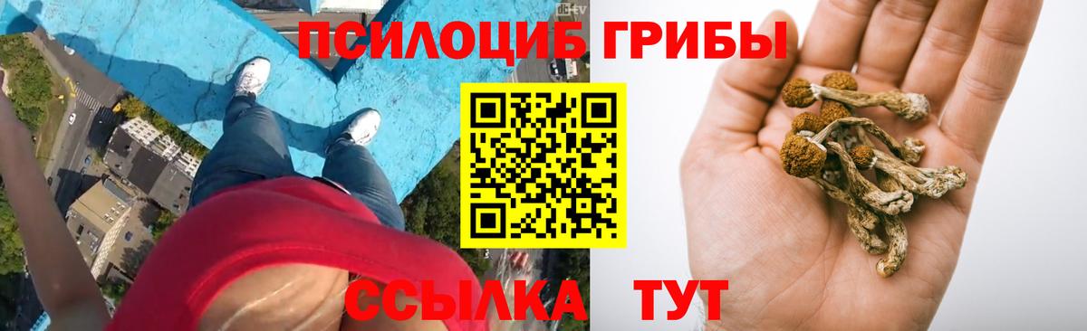 Псилоцибиновые грибы Psilocybine cubensis  Вход с VPN  Бузулук 